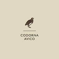 Codorna Avico